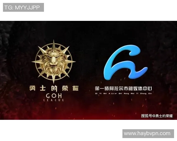 南京排球队的崛起之路：邀请赛中的奋斗与荣耀